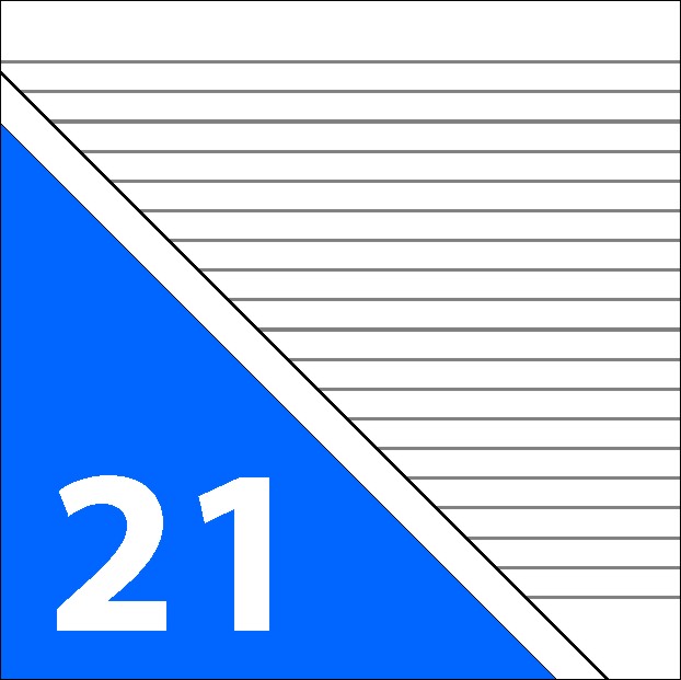 A4 Lineatur 21